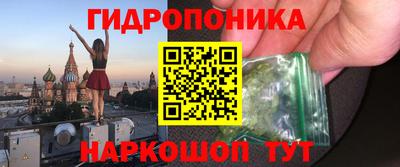 прущие грибы Белорецк