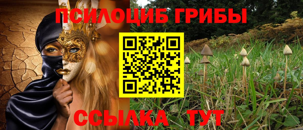Псилоцибиновые грибы MAGIC MUSHROOMS Иркутск