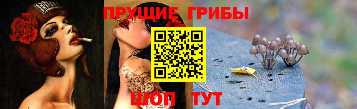 даркнет сайт  Вход с VPN  Иркутск  Псилоцибиновые грибы ЛСД 